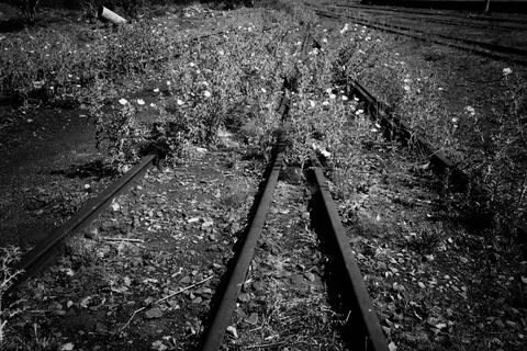 Tracks for life