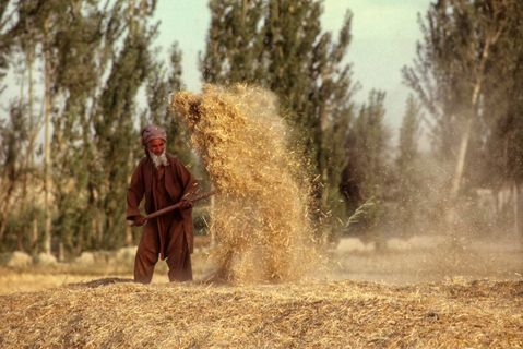 HarvestAfghanistan