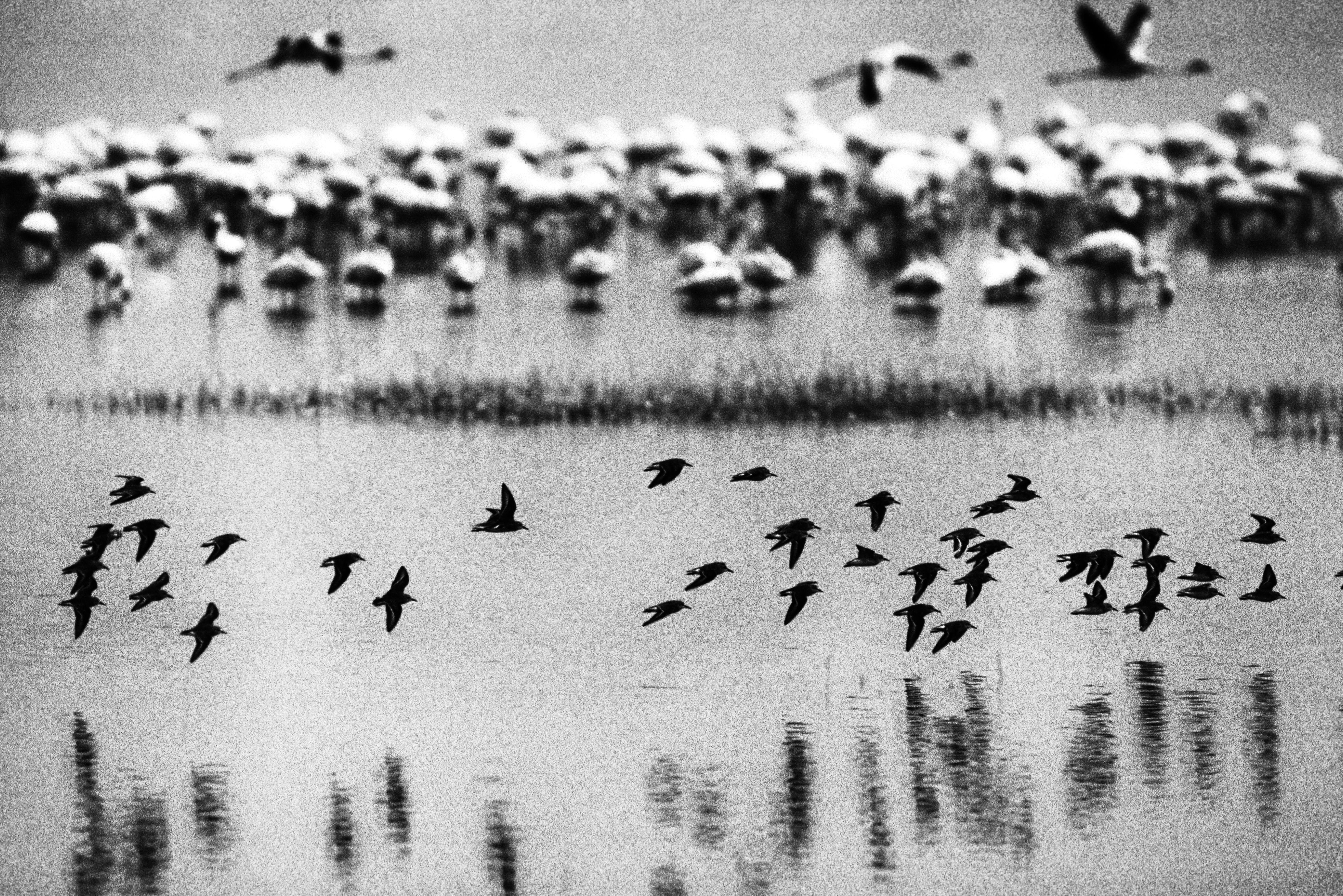 Lake Nakuru